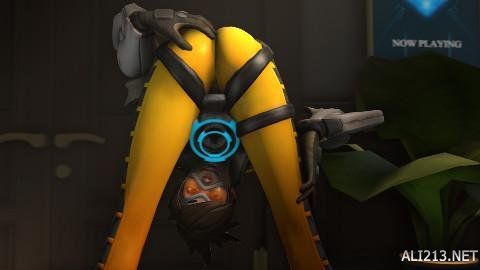 其中包括品 其中包括品