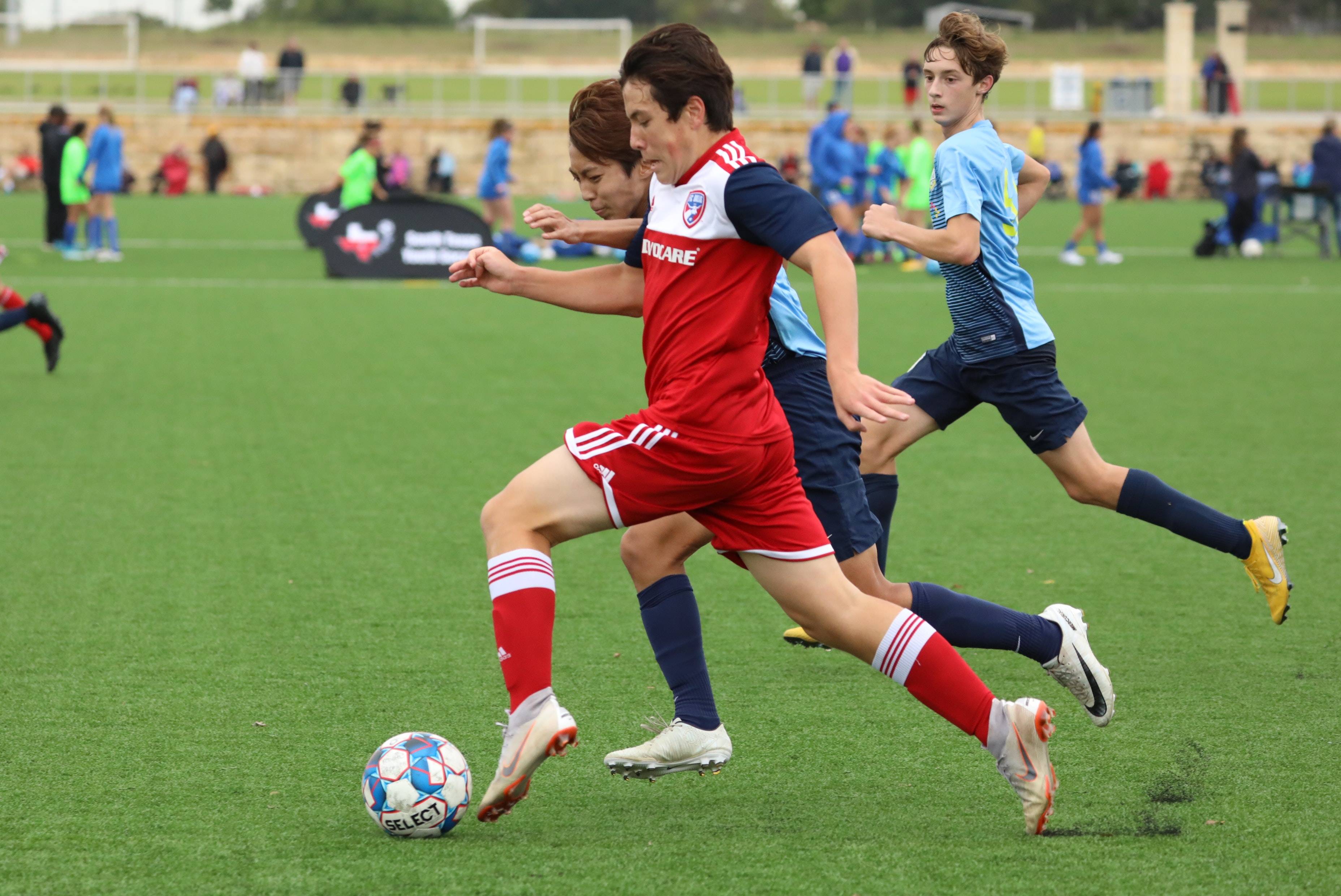 申花口吻 申花口吻